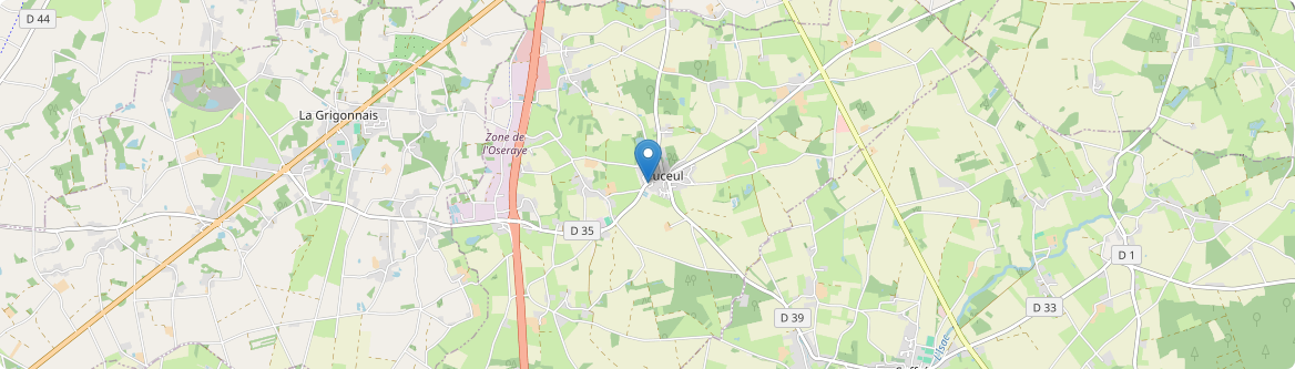 Puceul - Carte