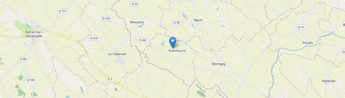 Puéchoursi - Carte