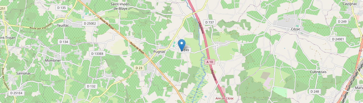 Pugnac - Carte