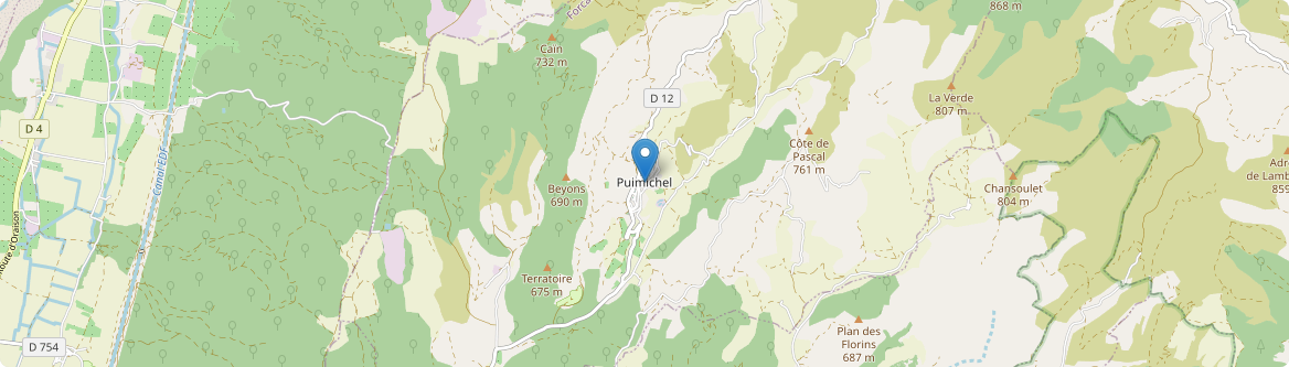 Puimichel - Carte