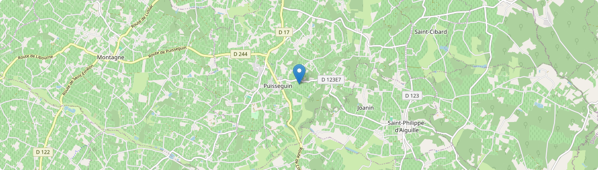Puisseguin - Carte