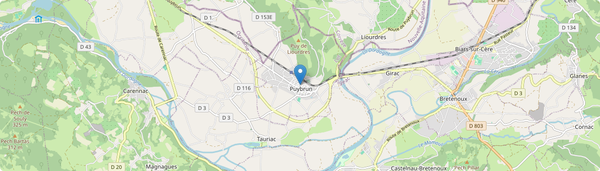 Puybrun - Carte