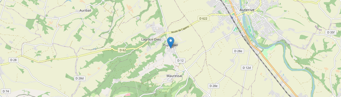 Puydaniel - Carte