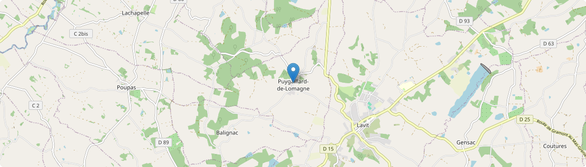 Puygaillard-de-Lomagne - Carte