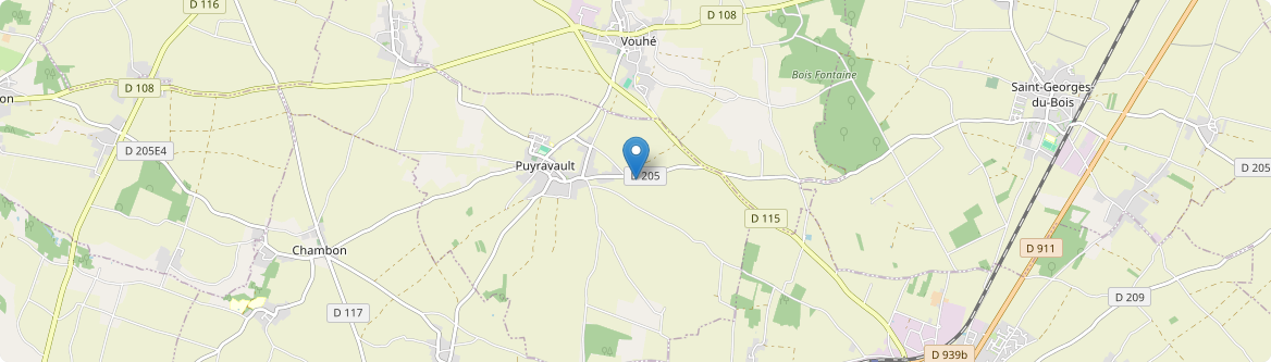 Puyravault - Carte