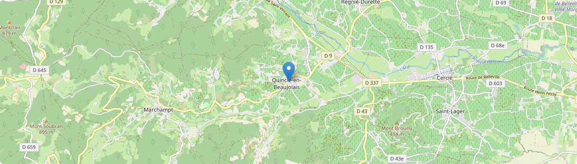 Quincié-en-Beaujolais - Carte