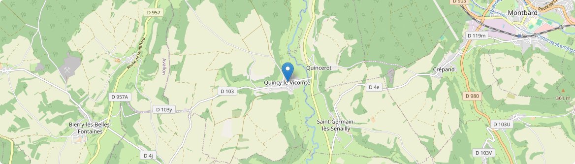 Quincy-le-Vicomte - Carte