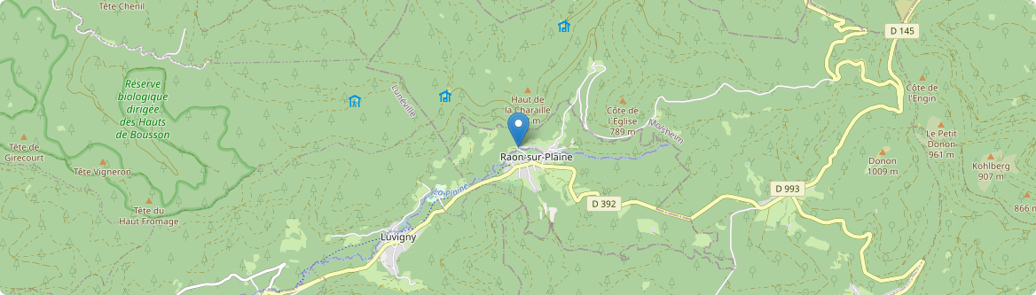 Raon-lès-Leau - Carte