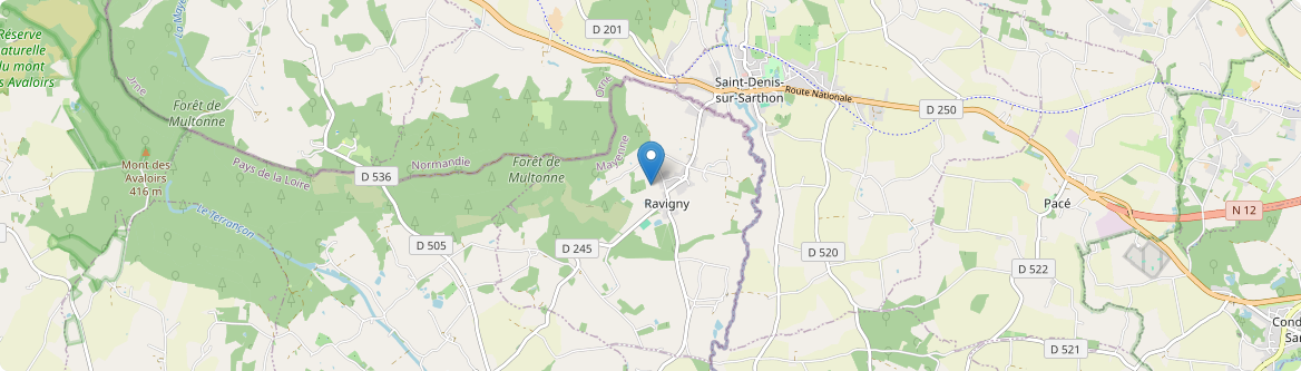 Ravigny - Carte