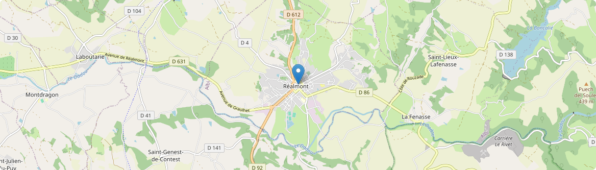 Réalmont - Carte
