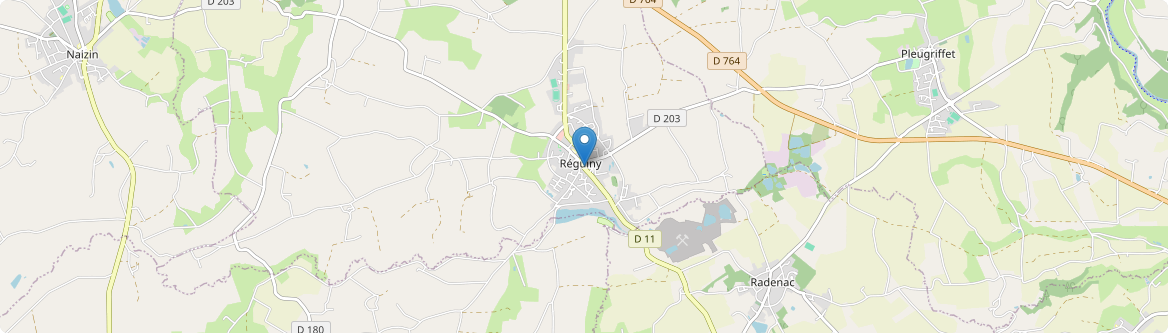 Réguiny - Carte