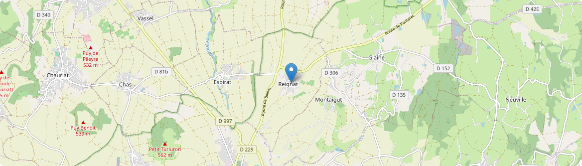 Reignat - Carte