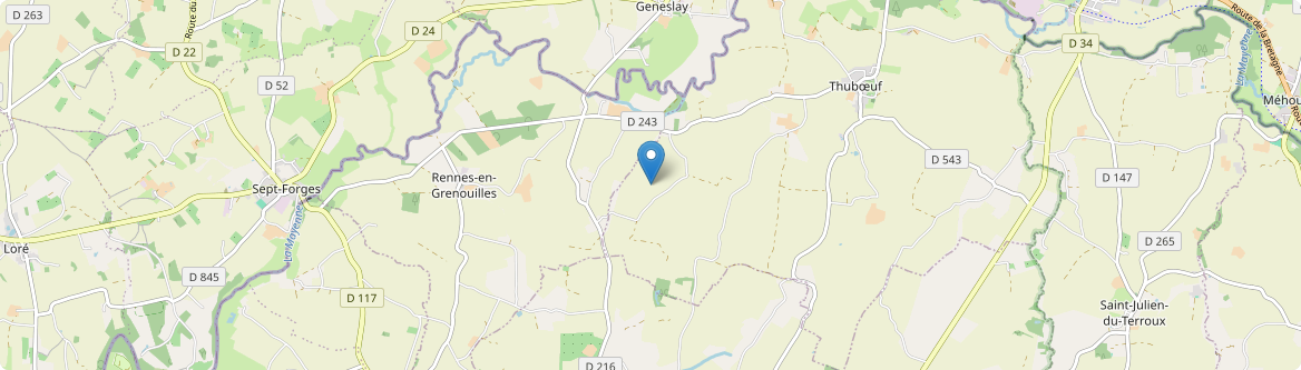Rennes-en-Grenouilles - Carte