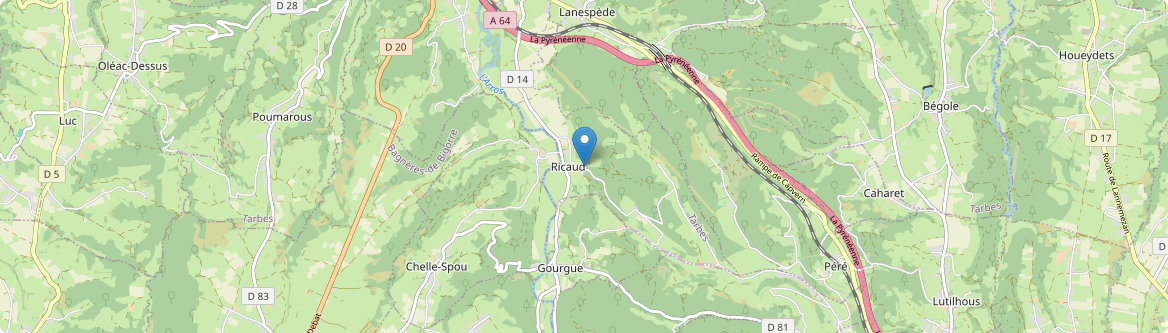 Ricaud - Carte
