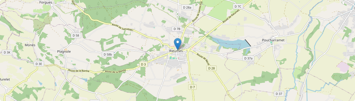 Rieumes - Carte