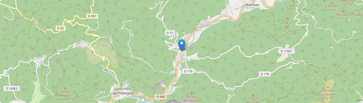 Riols - Carte