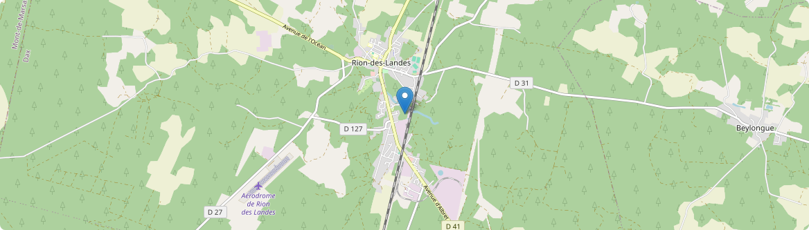 Rion-des-Landes - Carte