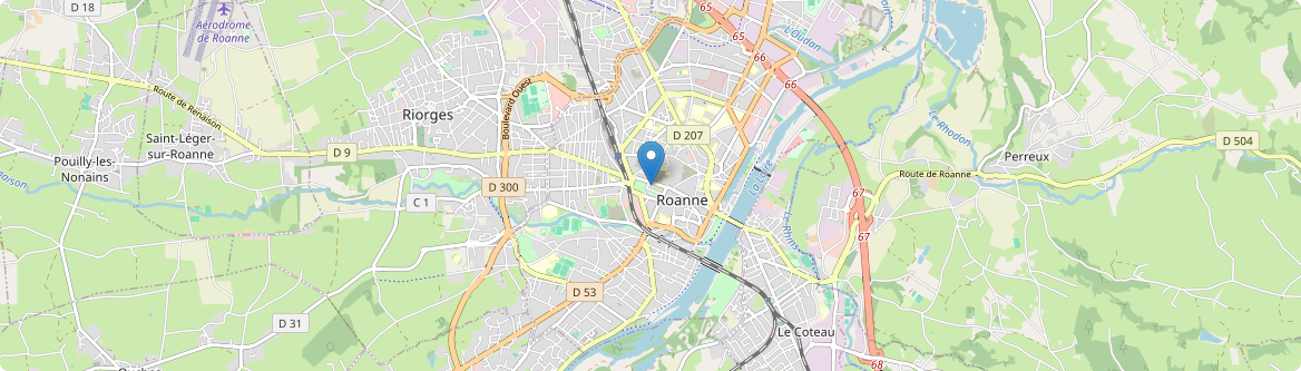 Roanne - Carte