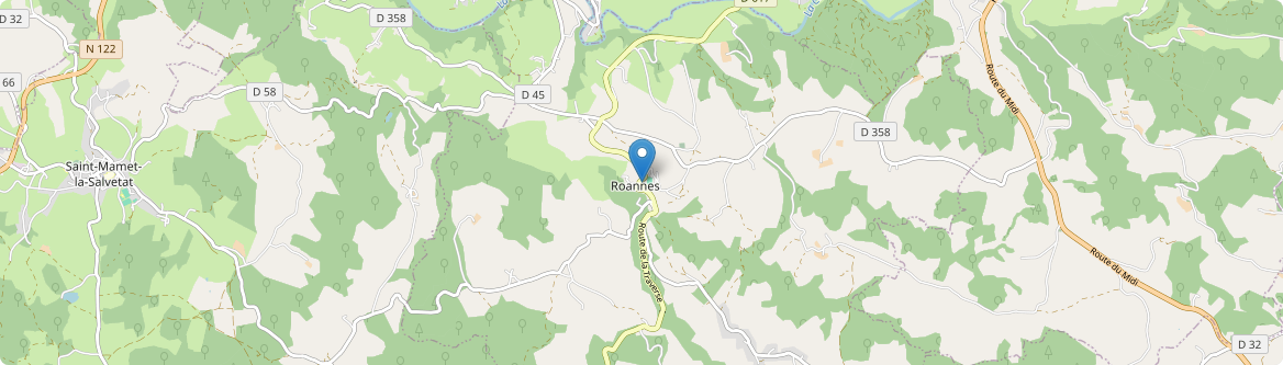 Roannes-Saint-Mary - Carte