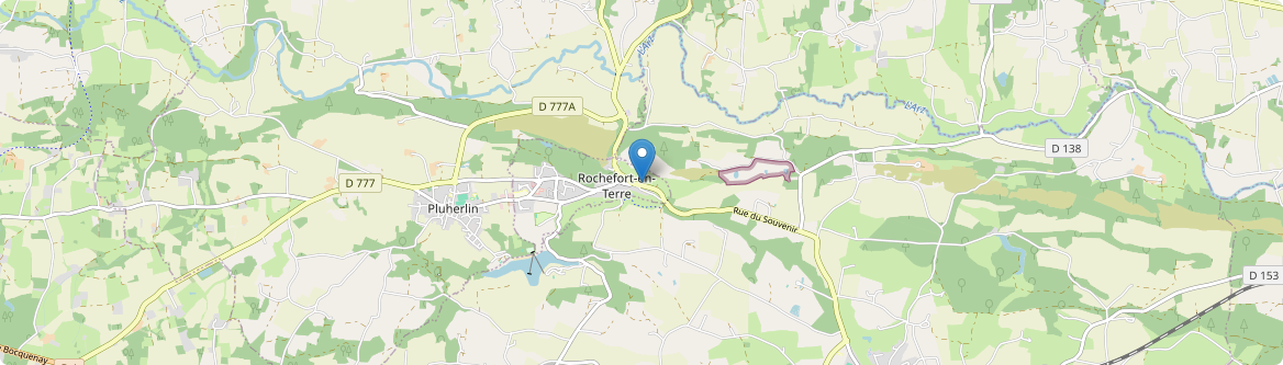 Rochefort-en-Terre - Carte