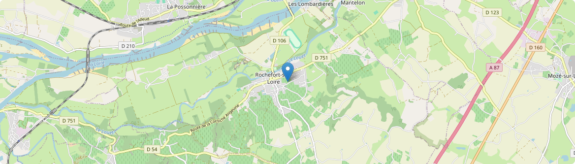 Rochefort-sur-Loire - Carte