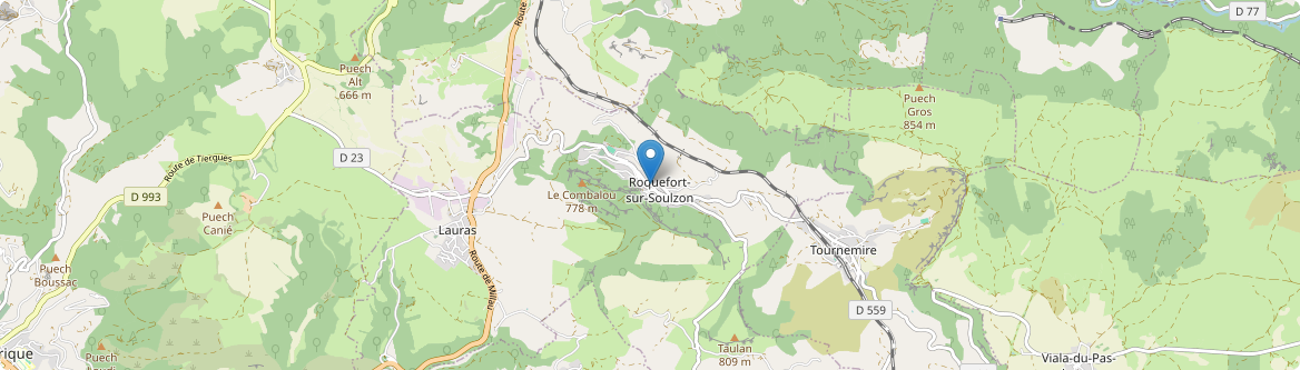 Roquefort-sur-Soulzon - Carte