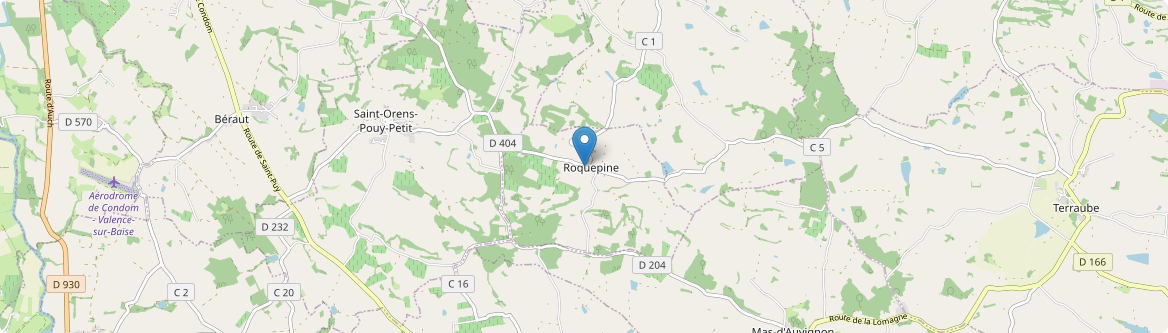 Roquepine - Carte