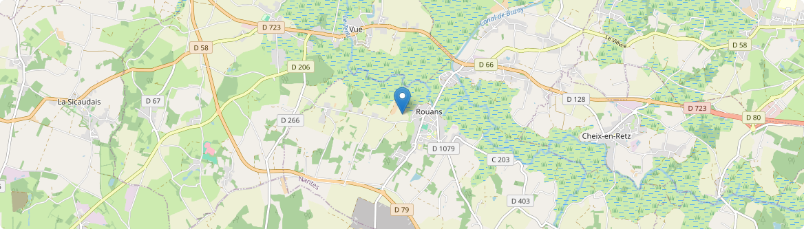 Rouans - Carte