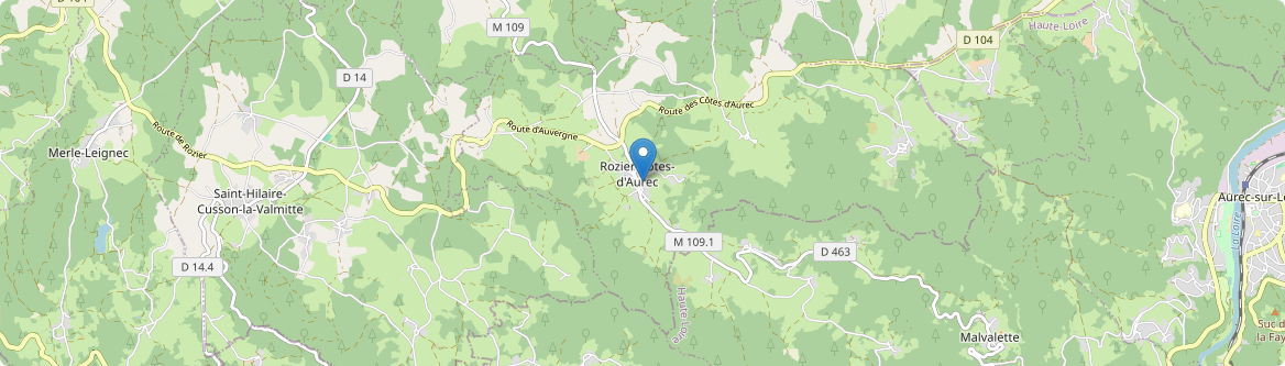 Rozier-Côtes-d'Aurec - Carte
