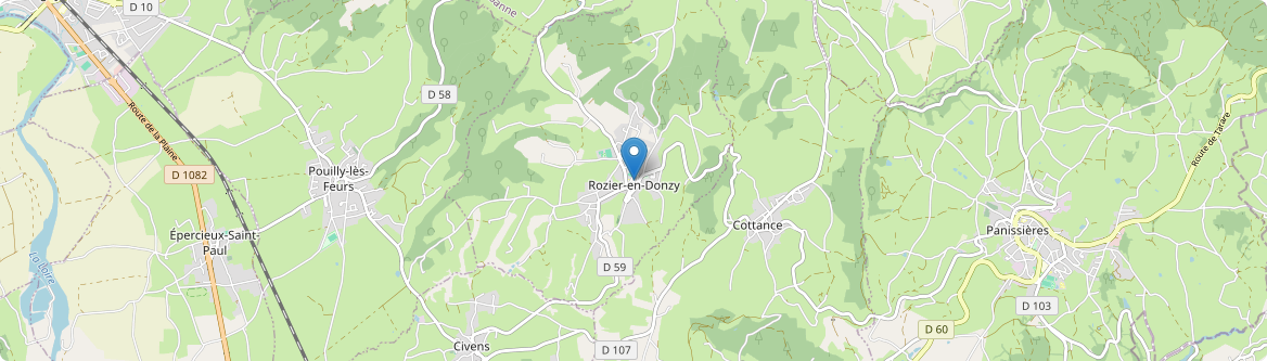 Rozier-en-Donzy - Carte
