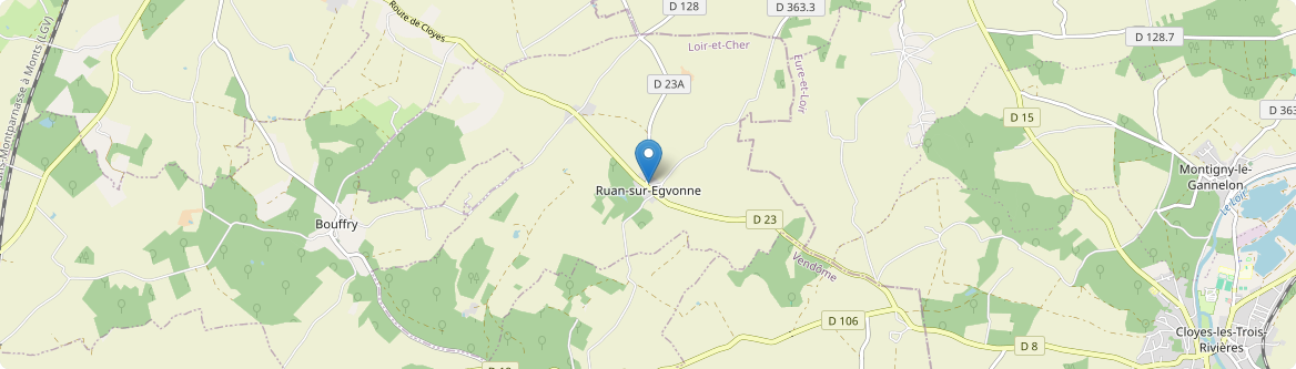 Ruan-sur-Egvonne - Carte