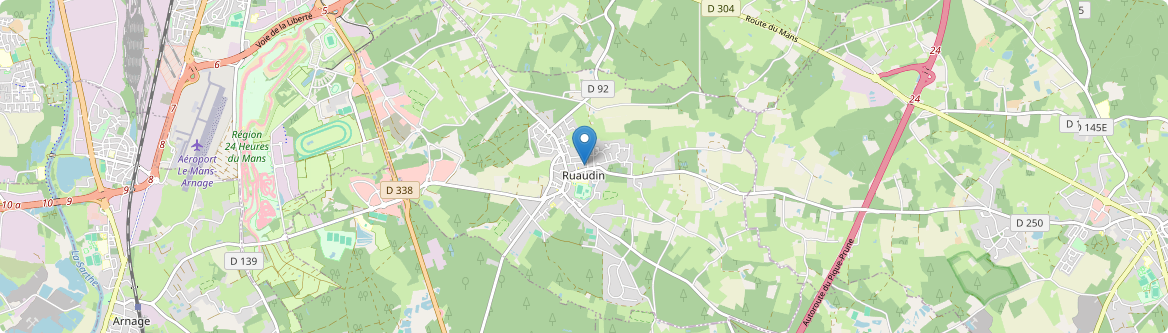 Ruaudin - Carte