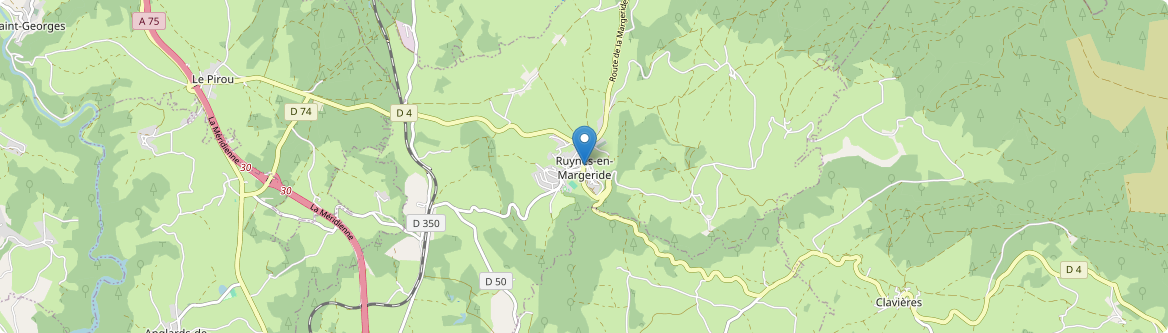 Ruynes-en-Margeride - Carte
