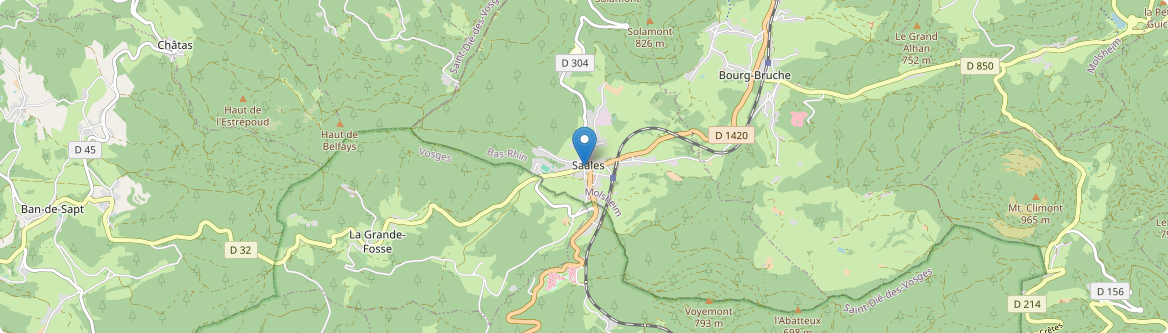 Saales - Carte