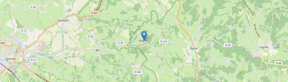 Saignes - Carte