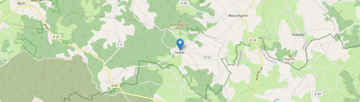 Saillac - Carte