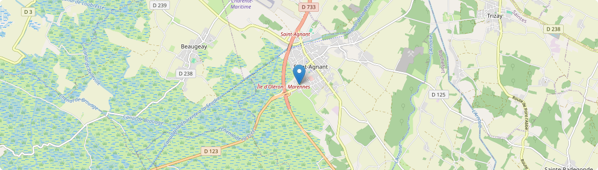 Saint-Agnant - Carte