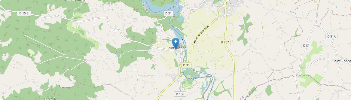 Saint-Aignan - Carte