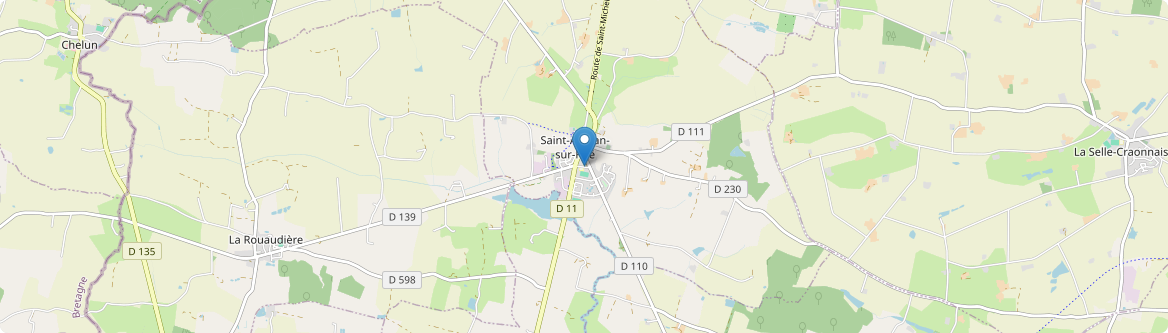 Saint-Aignan-sur-Roë - Carte
