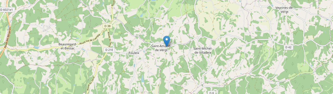 Saint-Amand-de-Vergt - Carte