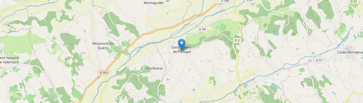 Saint-Amans-de-Pellagal - Carte
