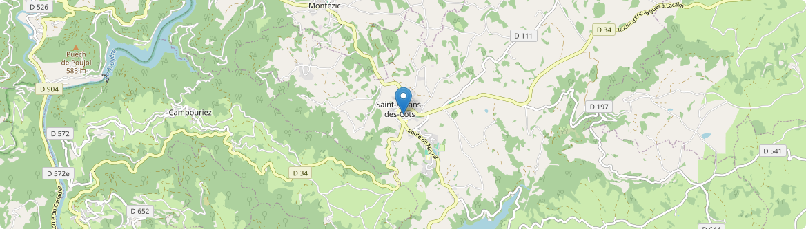 Saint-Amans-des-Cots - Carte