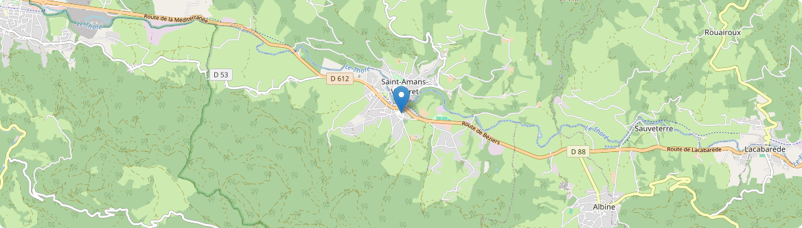 Saint-Amans-Soult - Carte