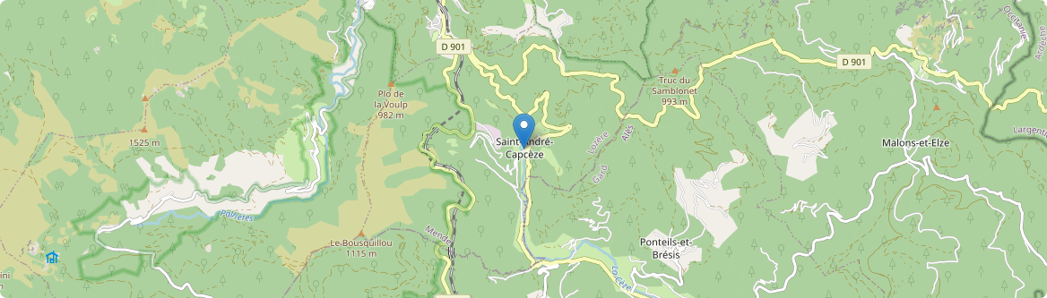 Saint-André-Capcèze - Carte