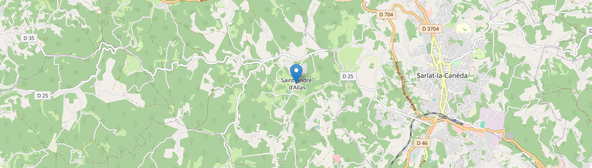 Saint-André-d'Allas - Carte