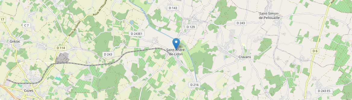 Saint-André-de-Lidon - Carte