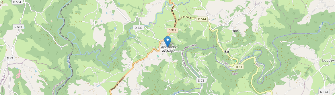 Saint-André-de-Najac - Carte