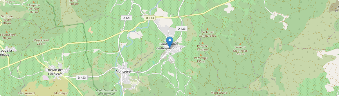 Saint-André-de-Roquelongue - Carte