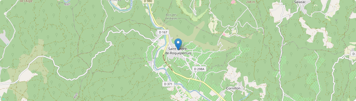 Saint-André-de-Roquepertuis - Carte