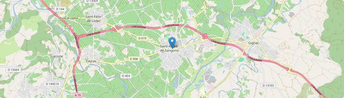 Saint-André-de-Sangonis - Carte